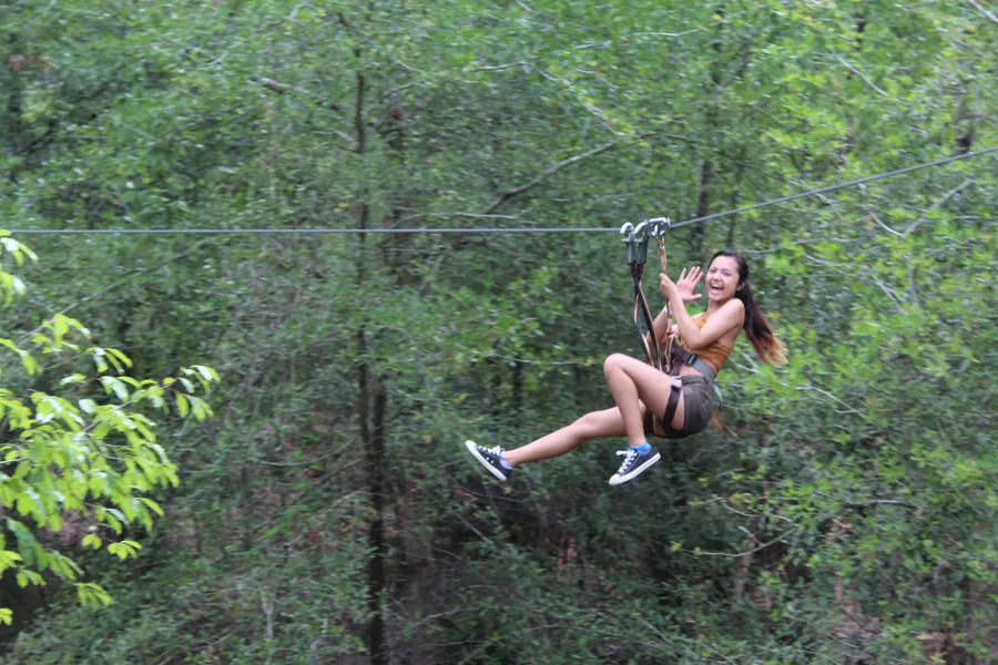 Tree Trek