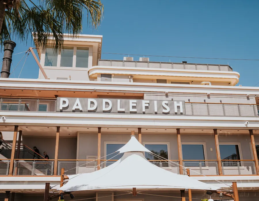 Paddlefish