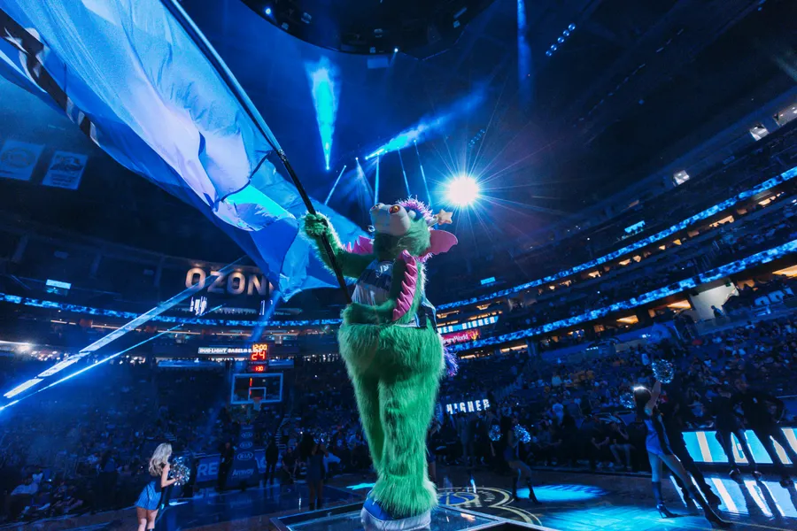 STUFF the Orlando Magic mascot.