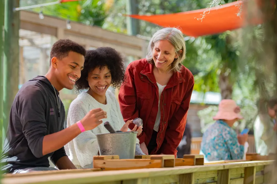 Discover real gems and rare fossils in our 70-foot mining trough - it's 'finders keepers'! Roll up your sleeves, grab your tools, and start your adventure. Uncover hidden treasures, from emeralds and rubies to fossils of all kinds. A thrilling adventure awaits for all ages!