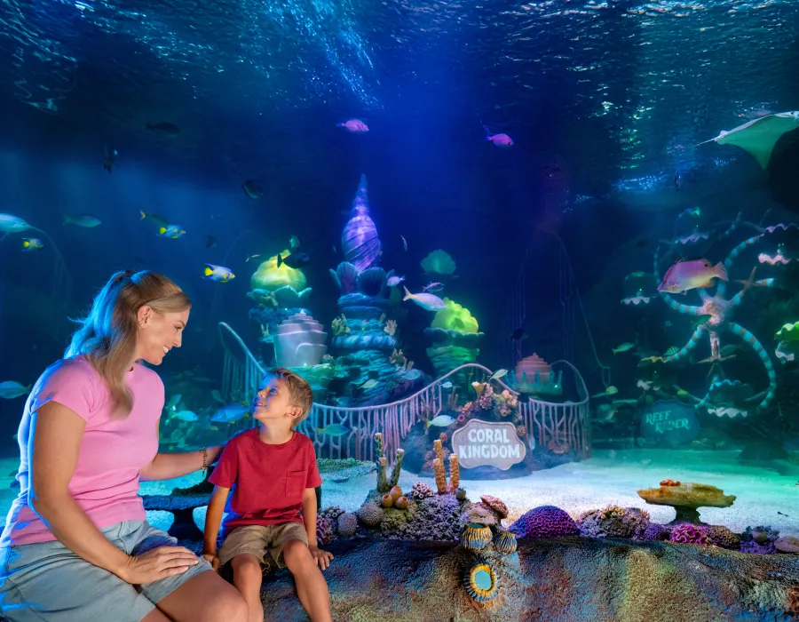 SEA LIFE Florida Theme Park Under the Sea