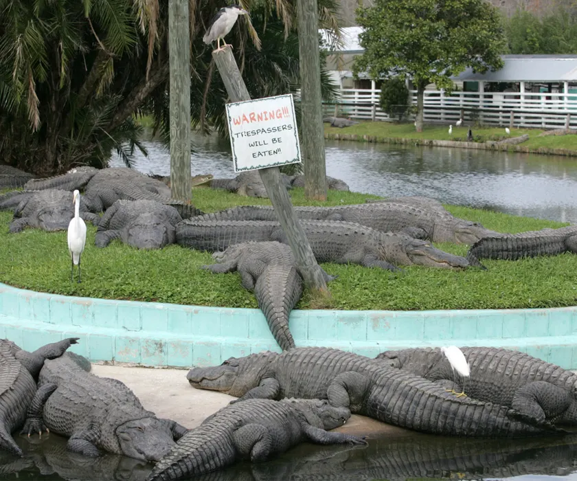 Warning Trespassers Will Be Eaten
