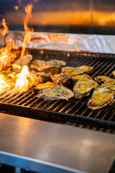 Oysters