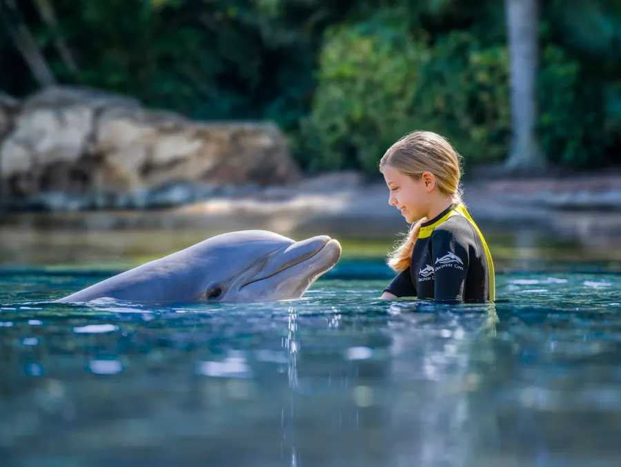 Girl with Dolphin