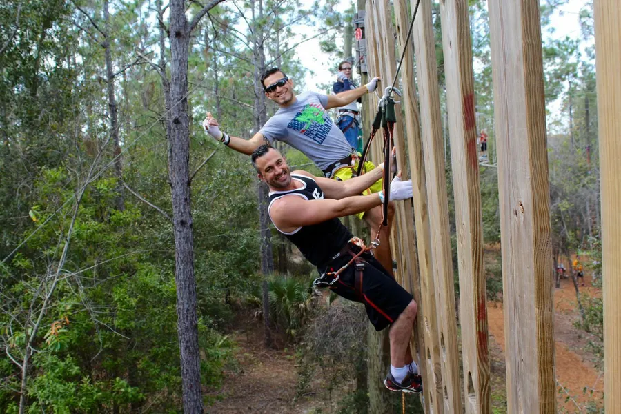 Tree Trek